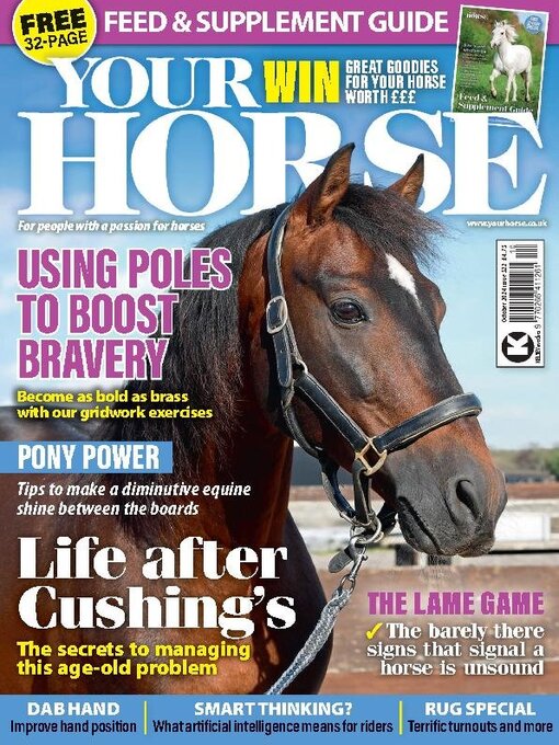 Title details for Your Horse by Kelsey Publishing Ltd - Available